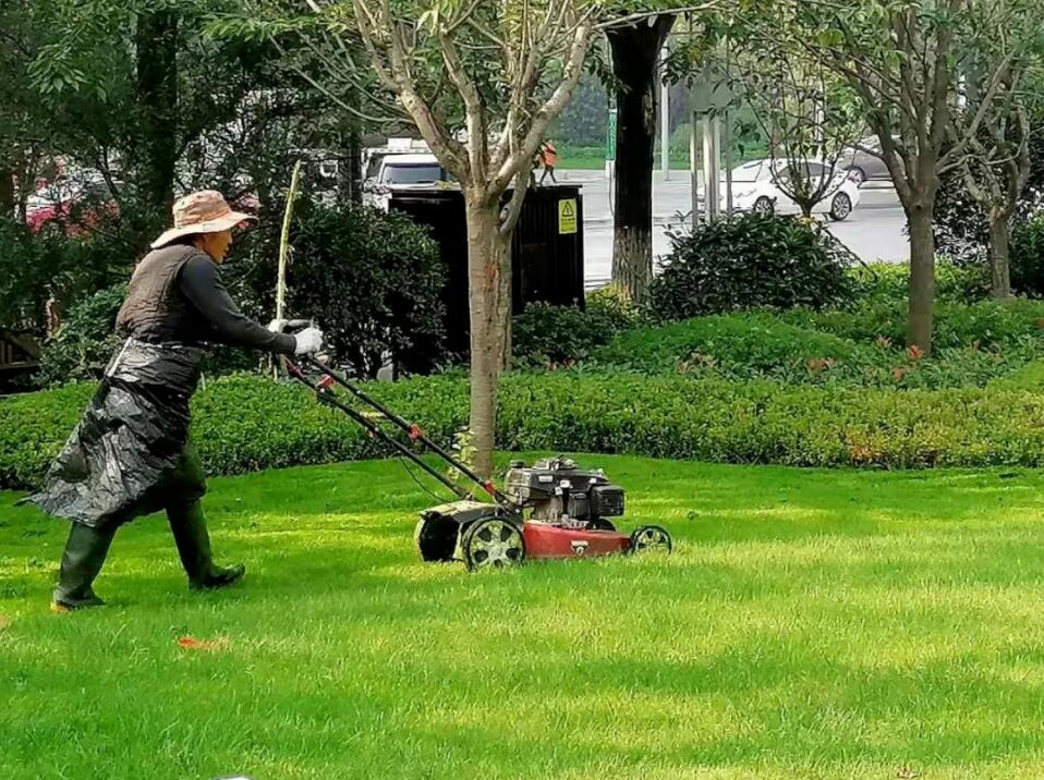 綠化養護